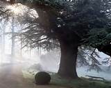 Design - Garden Design Idea For A Sloping Garden: Garden Design Ideas ...