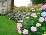 Unique Home Designs And Beautiful Home Designs: Home Gardens