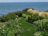 design ideas landscape design ideas view garden 300x225 8 landscape ...