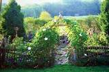 Garden Fence Ideas Reviews | Design And Landscaping Ideas