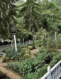 vegetable gardens are a valuable addition to the landscape around the ...