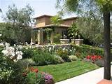 Mediterranean landscape in frontyand design
