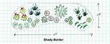 Free Garden Design - Shady Border